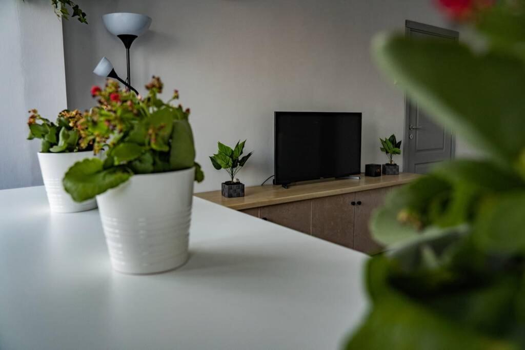 Modern 1 Bedroom Apartment In Bucharest Center! Εξωτερικό φωτογραφία